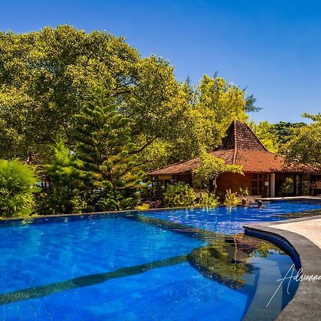 Oceans 5 Dive Resort Gili Air Extérieur photo