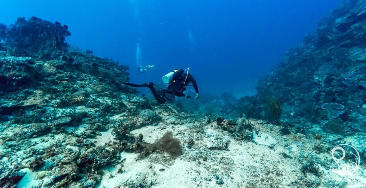 Oceans 5 Dive Resort Gili Air Extérieur photo