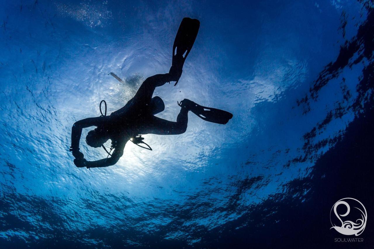Oceans 5 Dive Resort Gili Air Extérieur photo
